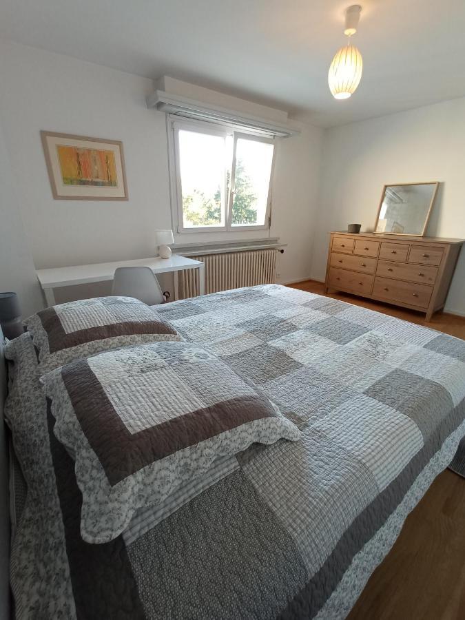 Rare A Colmar - Appartement Champ De Mars Vue Sur Parc - 70M2 - 2 Chambres المظهر الخارجي الصورة
