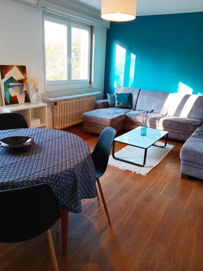 Rare A Colmar - Appartement Champ De Mars Vue Sur Parc - 70M2 - 2 Chambres المظهر الخارجي الصورة