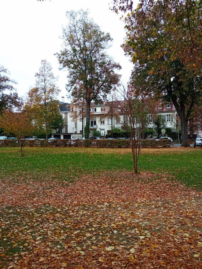Rare A Colmar - Appartement Champ De Mars Vue Sur Parc - 70M2 - 2 Chambres المظهر الخارجي الصورة