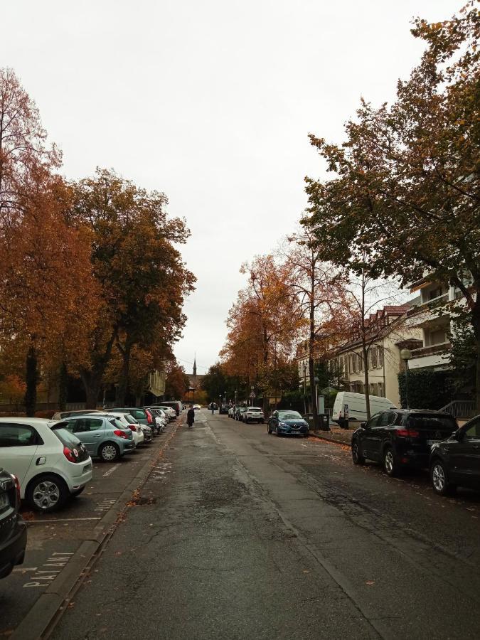 Rare A Colmar - Appartement Champ De Mars Vue Sur Parc - 70M2 - 2 Chambres المظهر الخارجي الصورة