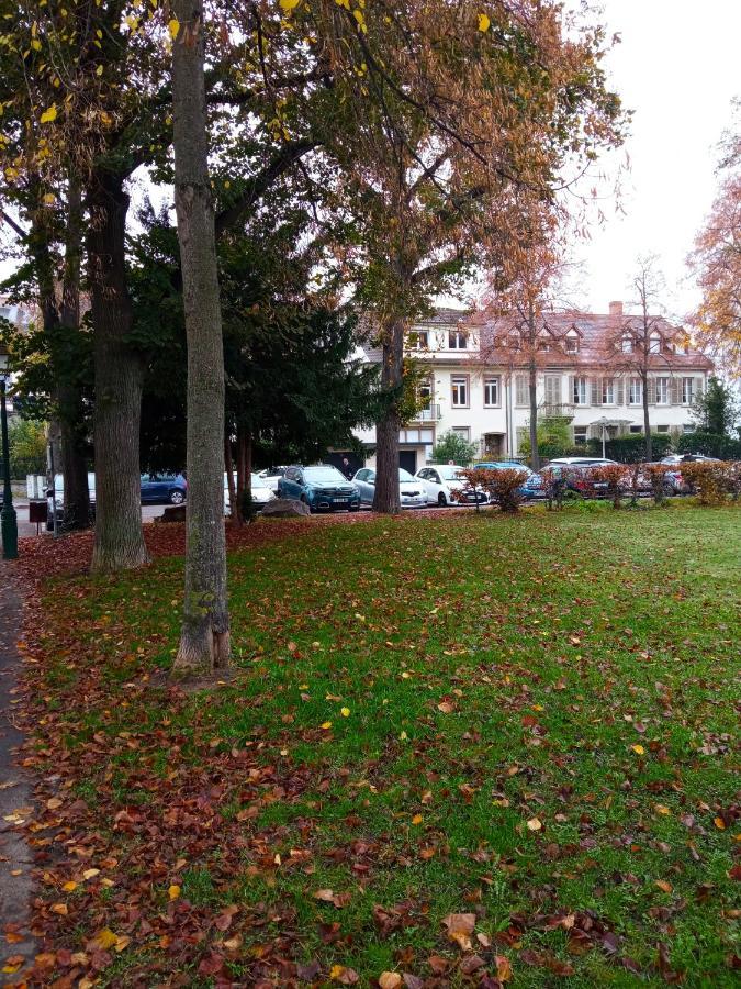 Rare A Colmar - Appartement Champ De Mars Vue Sur Parc - 70M2 - 2 Chambres المظهر الخارجي الصورة