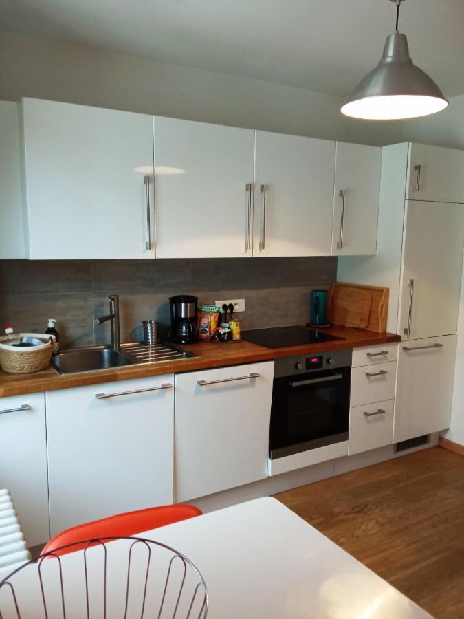 Rare A Colmar - Appartement Champ De Mars Vue Sur Parc - 70M2 - 2 Chambres المظهر الخارجي الصورة
