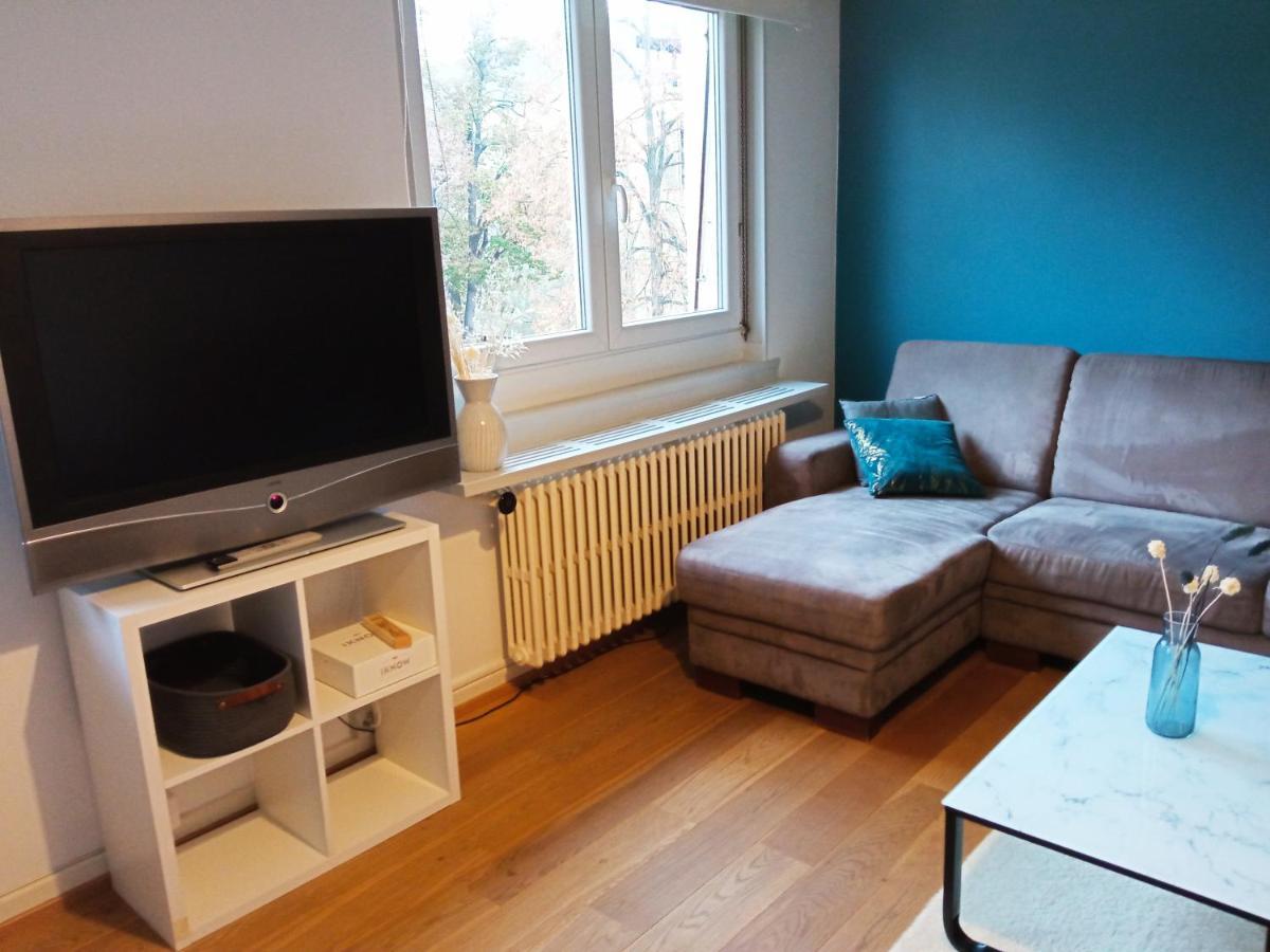 Rare A Colmar - Appartement Champ De Mars Vue Sur Parc - 70M2 - 2 Chambres المظهر الخارجي الصورة